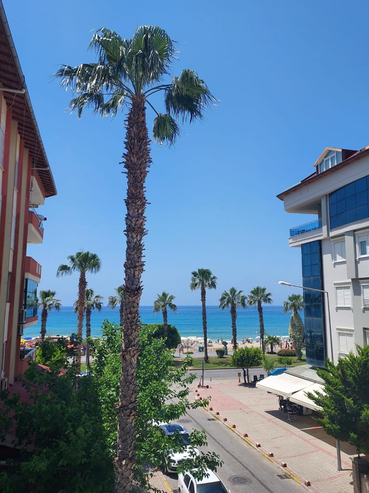 Kleopatra Sahara Hotel Alanya Bagian luar foto